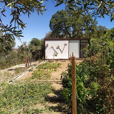 La Romera Villanueva del Duque Экстерьер фото