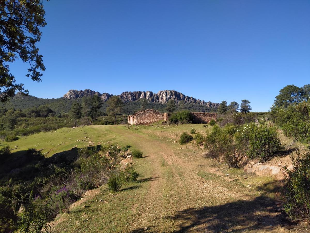 La Romera Villanueva del Duque Экстерьер фото