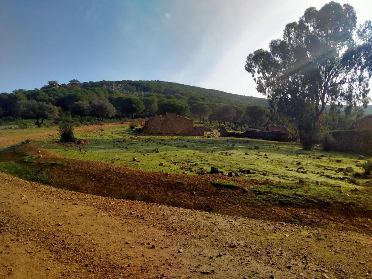 La Romera Villanueva del Duque Экстерьер фото