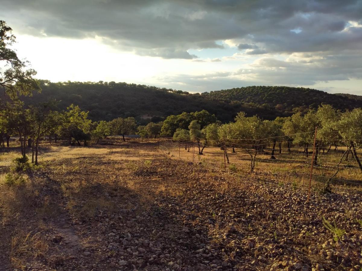 La Romera Villanueva del Duque Экстерьер фото