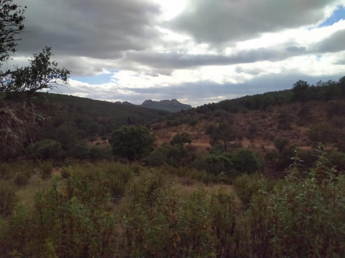 La Romera Villanueva del Duque Экстерьер фото